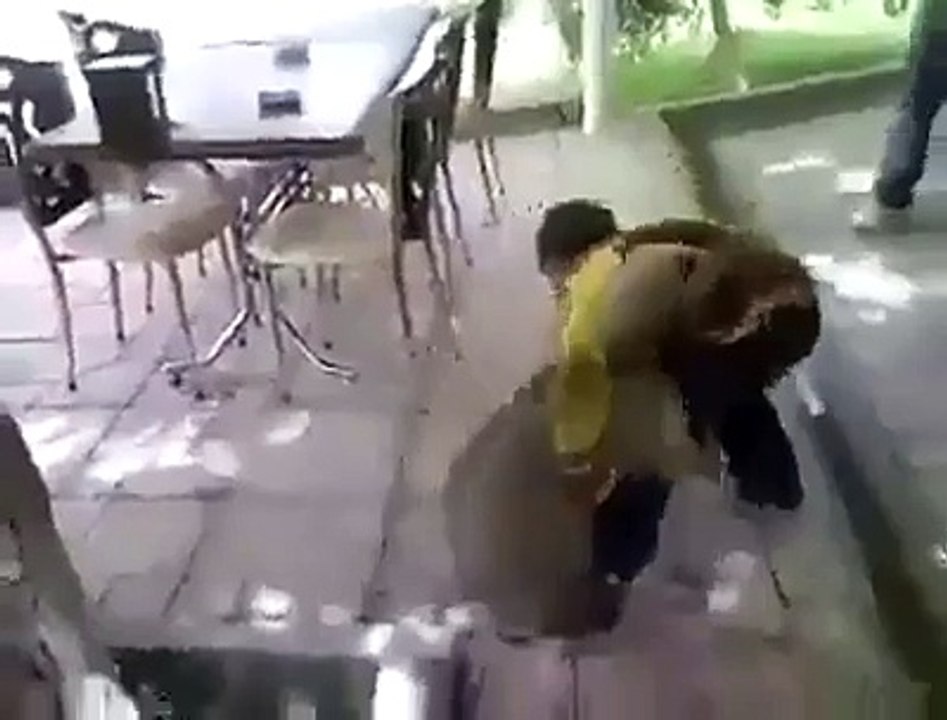 Bear vs Kid