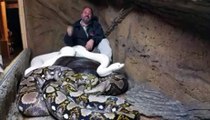 Un Python géant l'attaque mais il reste calme et se met à rire.