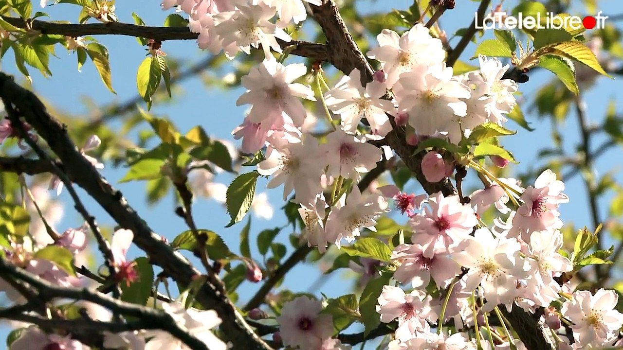 LE CHANGEMENT C'EST LE PRINTEMPS