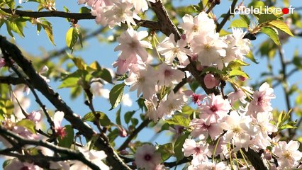 LE CHANGEMENT C'EST LE PRINTEMPS
