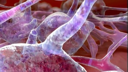 Discover the Fascinating World of Cells 🧬 | Introduction for Beginners