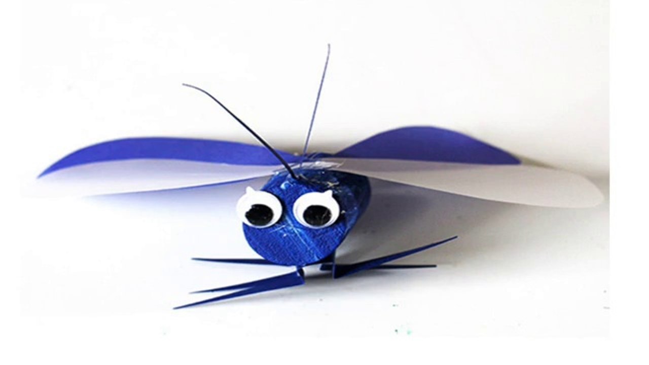 petit papillon bouchon