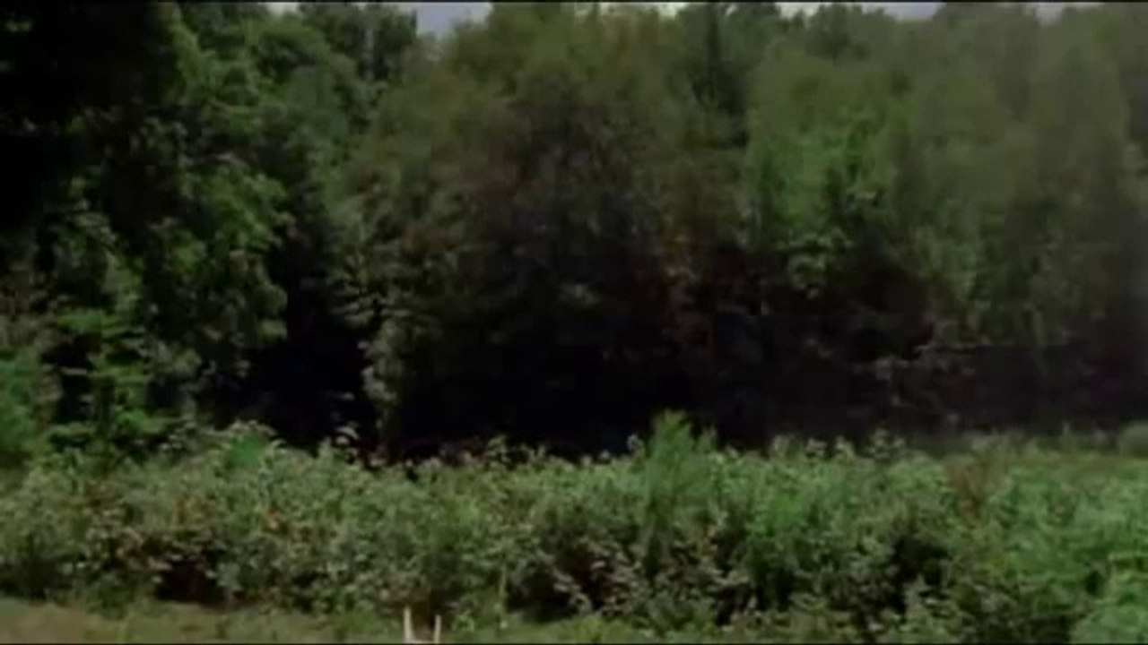 Wrong Turn best scene