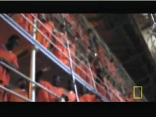 Welcome to the Jungle- San Quentin State Prison