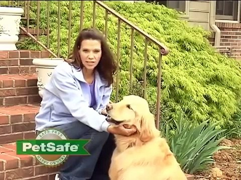 Training Your Dog To A PetSafe Electronic Invisible Dog Fence