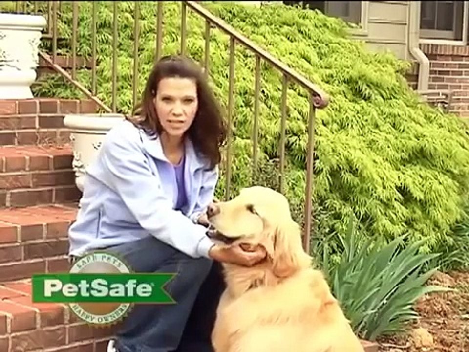 Training Your Dog To A PetSafe Electronic Invisible Dog Fence
