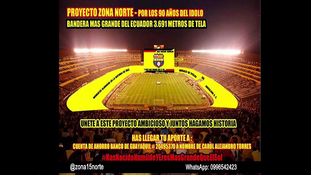 Hincha Amarillo 8 abril 2015