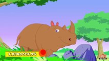 Animal Facts in Hindi - Rhinoceros