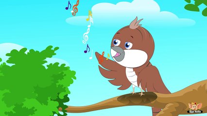 Animal Facts in Hindi - Cuckoo