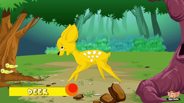 deer information in hindi