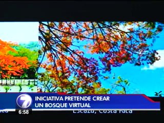 Una iniciativa busca crear un bosque virtual