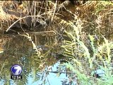 Vecinos de Upala denuncian daños de basurero a reservorio de vida silvestre
