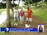 Alertan por presencia de tres caimanes en el lago del Parque de La Paz