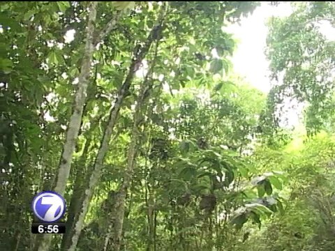 Calentamiento global estaría restando a Costa Rica el 85% de su agua, según estudio