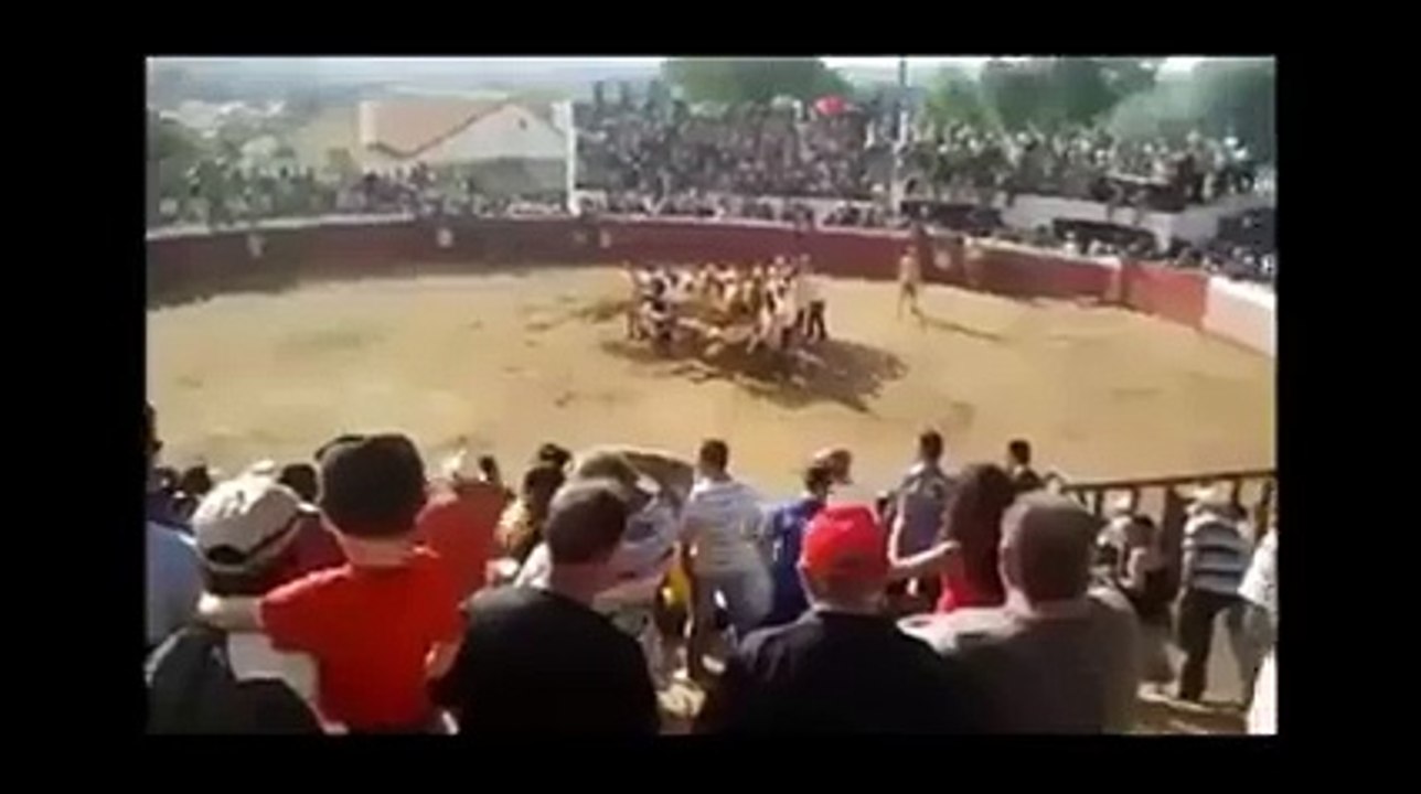 bull ring