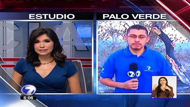 Bomberos y guardaparques logran controlar incendio forestal en Palo Verde