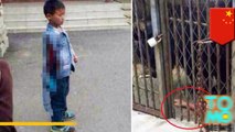 طفل صيني يحاول إطعام دب في حديقة الحيوان ليعض الأخير يده