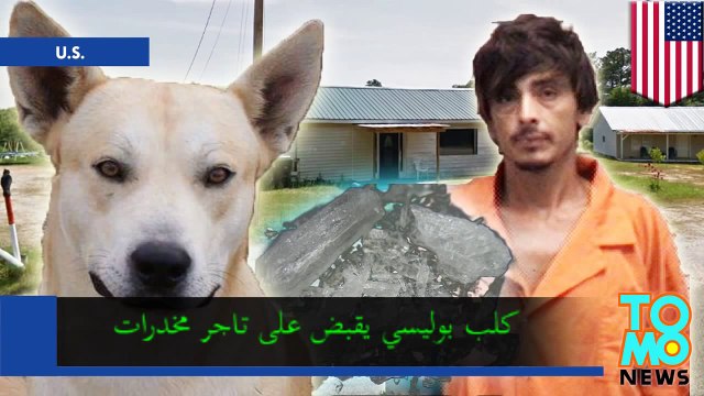 رجل يتعاطي الميثان تقبض عليه الشرطة بفضل كلب بوليسي