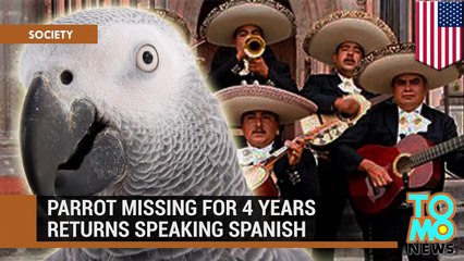 ببغاء من بريطانيا يختفي أربع سنوات ليعود متحدثاً الاسبانية