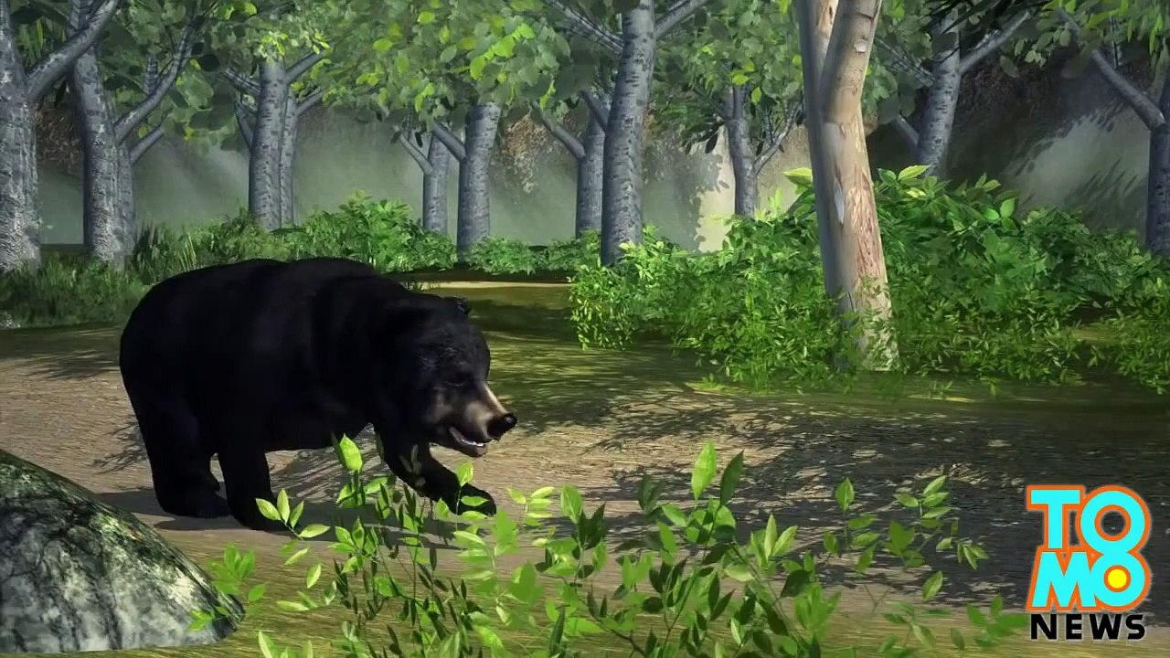 دب أسود يقتل شخصاً من روتغرز في حادثة لم تتكرر منذ 150 عام