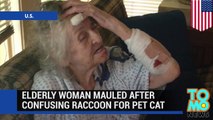 حيوان راكون يهاجم سيدة مسنة بعد أن ظنت الأخيرة أنه قط