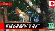 رجل يتعامل بحقارة مع قط ومن يحاول مساعدته