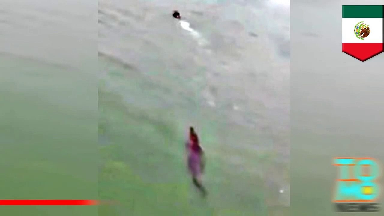 سائح ينجو من التماسيح في مكسيكو
