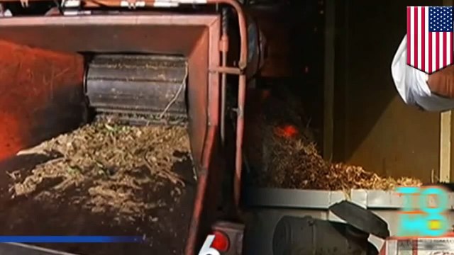 رجل يموت لدى سقوطه في فرامة الخشب