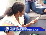 Mujeres de Isla Chira decidieron cultivar ostras en lugar de sacar recursos del mar
