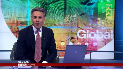 Lion hugger_ This is how Sirga the lion greets her owner - BBC News