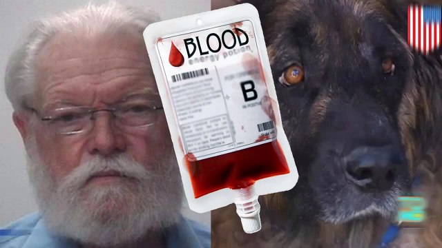 طبيب بيطري من تكساس يحتفظ بكلب ليسحب دمه