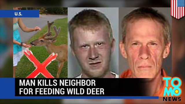 رجل يقتل جاره لأنه أطعم أيلاً برياً