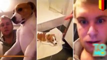 رجل يقوم بضرب كلب على أثر انفصال حبيبته عنه