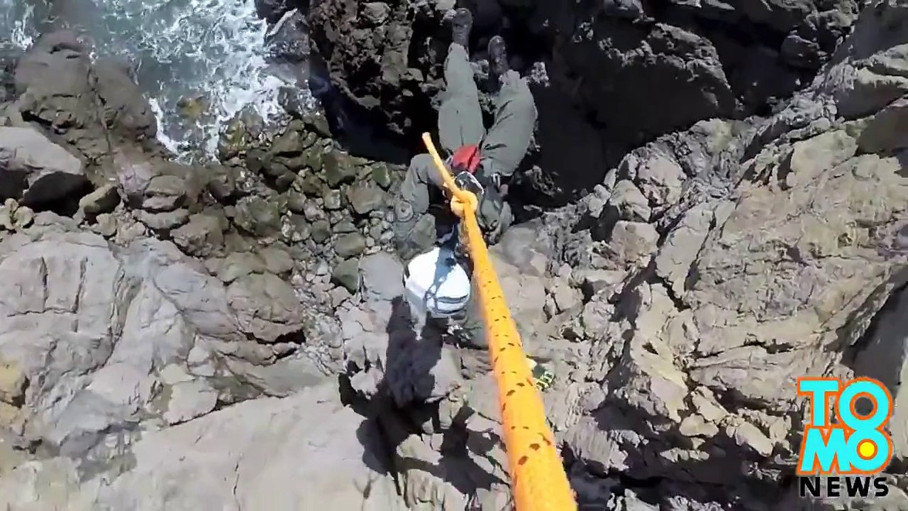 هيلكوبتر تنقذ كلب  من على جرف