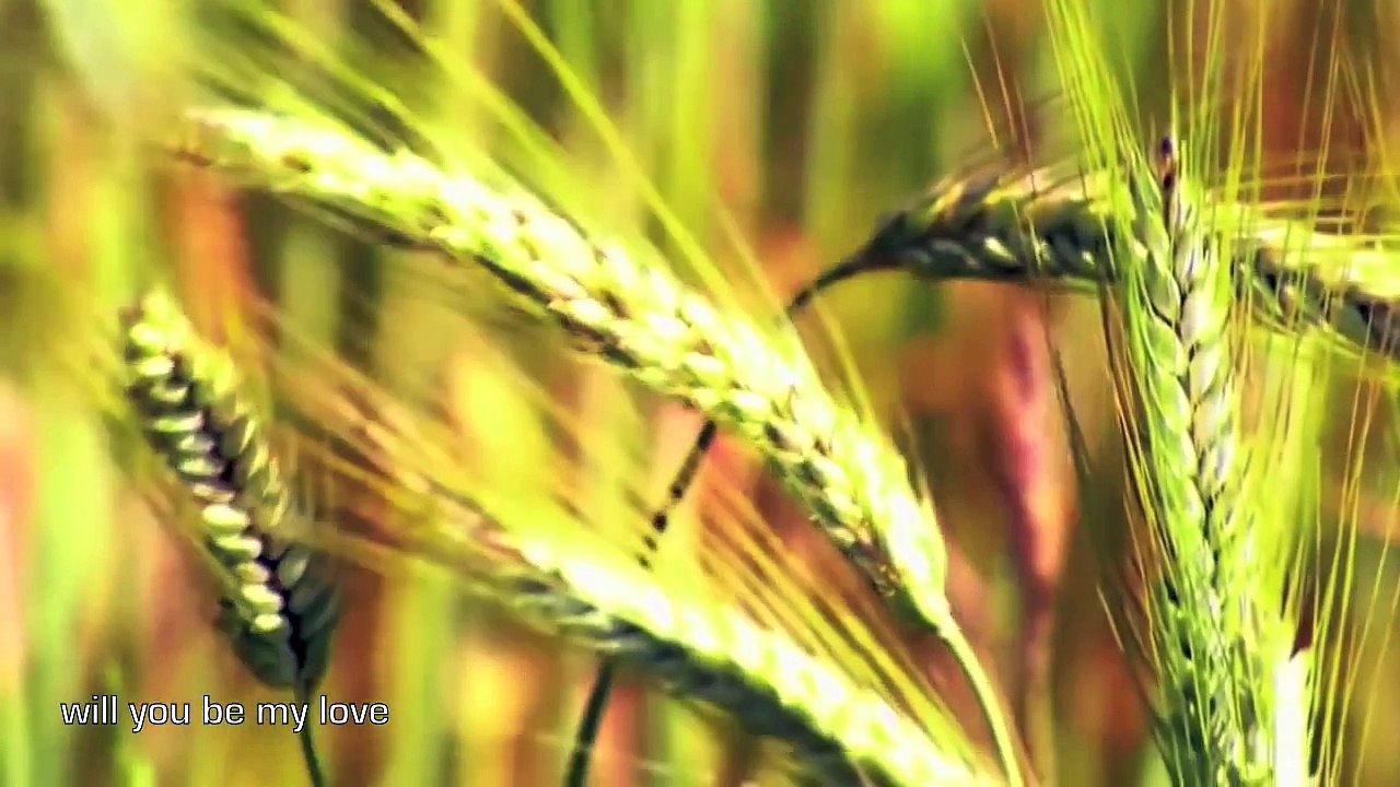 Fields of Gold - Eva Cassidy