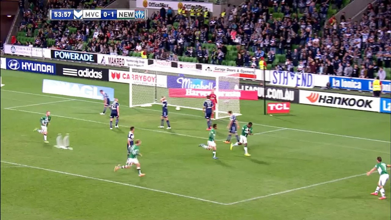 A-league: mega-patzer durch vogelschwarm?