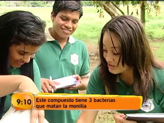 Jóvenes de Sixaola encontraron la cura contra una enfermedad del cacao