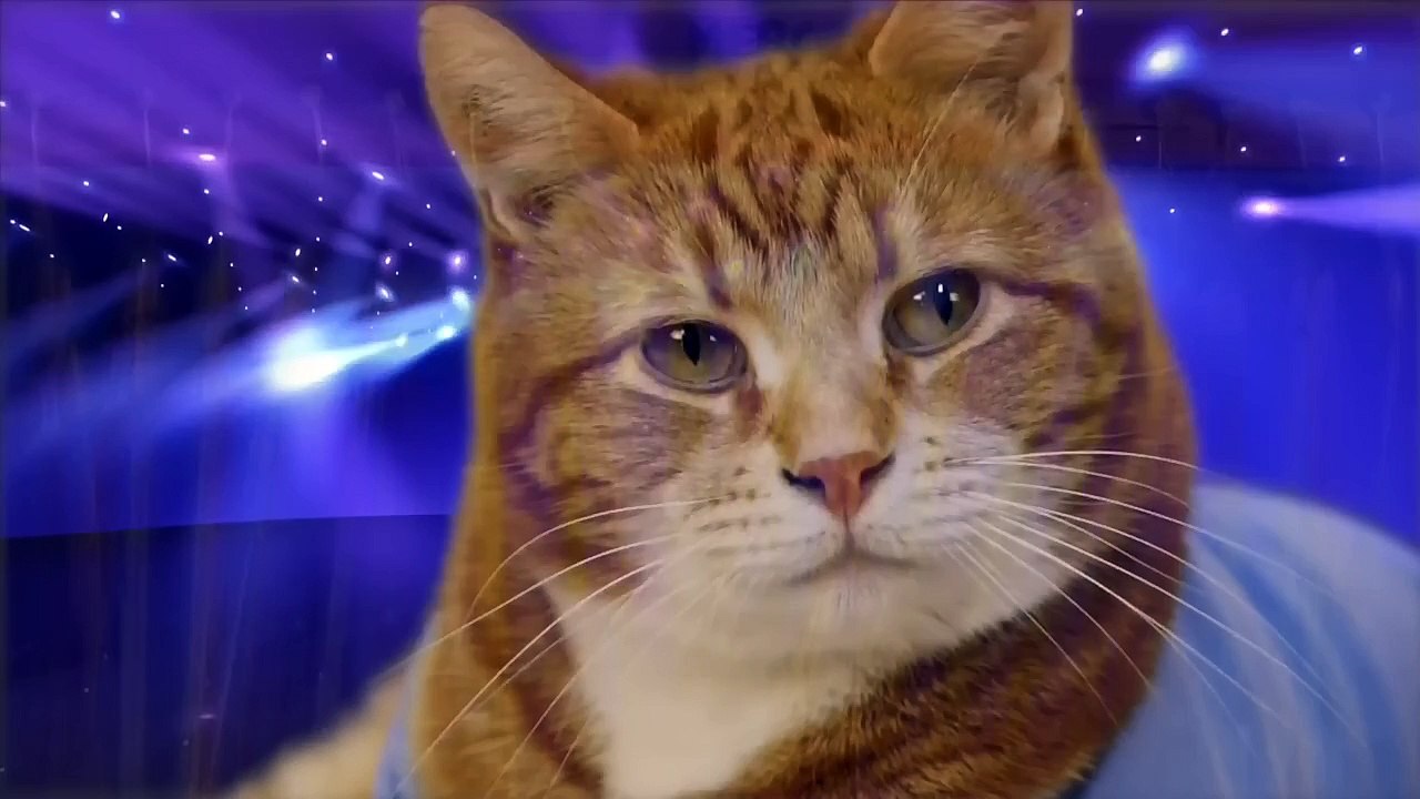 Clubic Week 2.0 : Microsoft se fait vieux