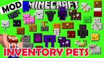 Minecraft PETs Inside your INVENTORY ! Inventory Pets Mod Showcase by NikNikamTV