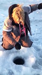 Lake Of The Woods 'Big Pike'