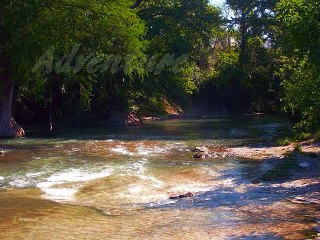 Dancing With Bear Publishing