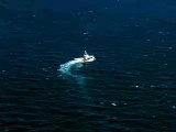 Video: Autoridades buscan desparecidos en accidente de catamarán
