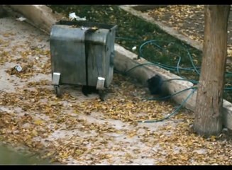 La escena favorita de... - Érase una vez en Anatolia