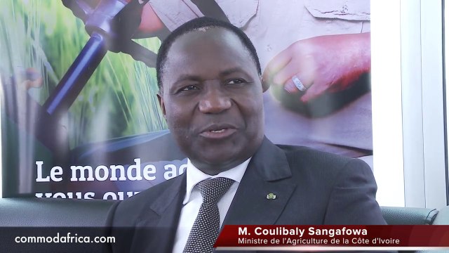 Entretien exclusif avec M. Coulibaly Sangafowa, Ministre de l'Agriculture de la Côte d'Ivoire
