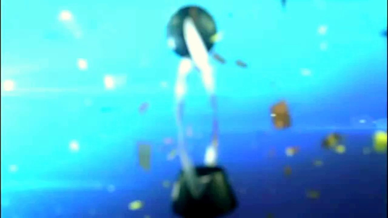 Mundial Sub 17 México 2011 Corte