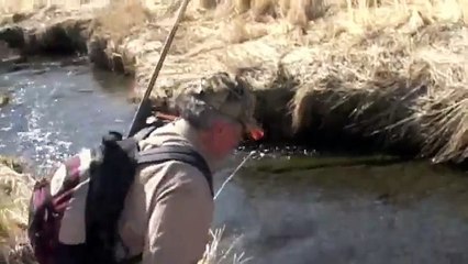 Darrell Parker Hunting Kodiak Brown Bear 2009