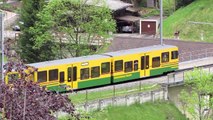 Swiss Rack Railways
