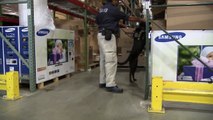 TSA explosives detection canine teams
