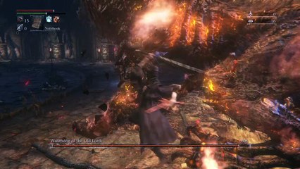 Watchdog of the old lords