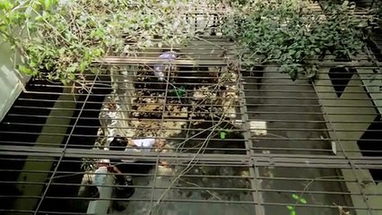 What If Batman Was From Chennai- - Put Chutney